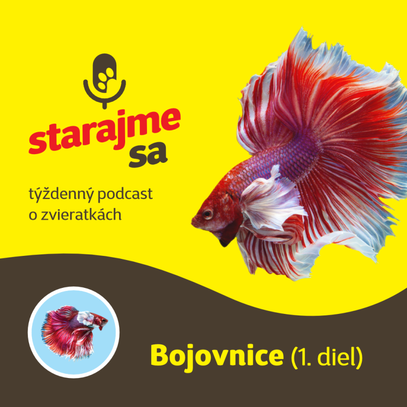 Obrázek epizody Akvaristika: Bojovnice 1.diel