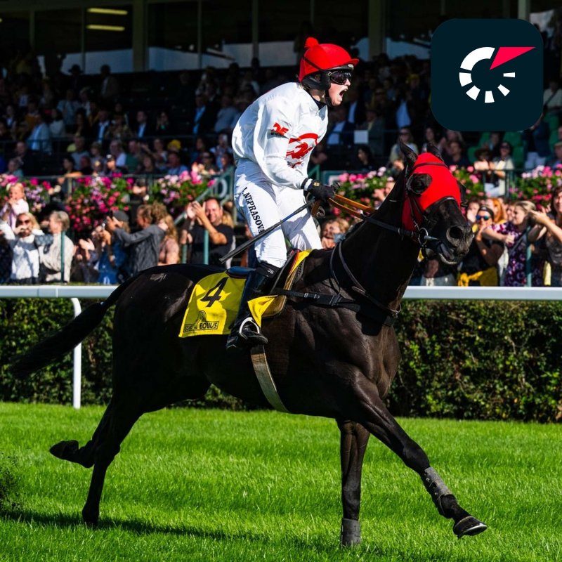 Obrázek epizody Nástupce Stumptowna i šampion Godfrey: Kompletní přehled koní pro Velkou pardubickou