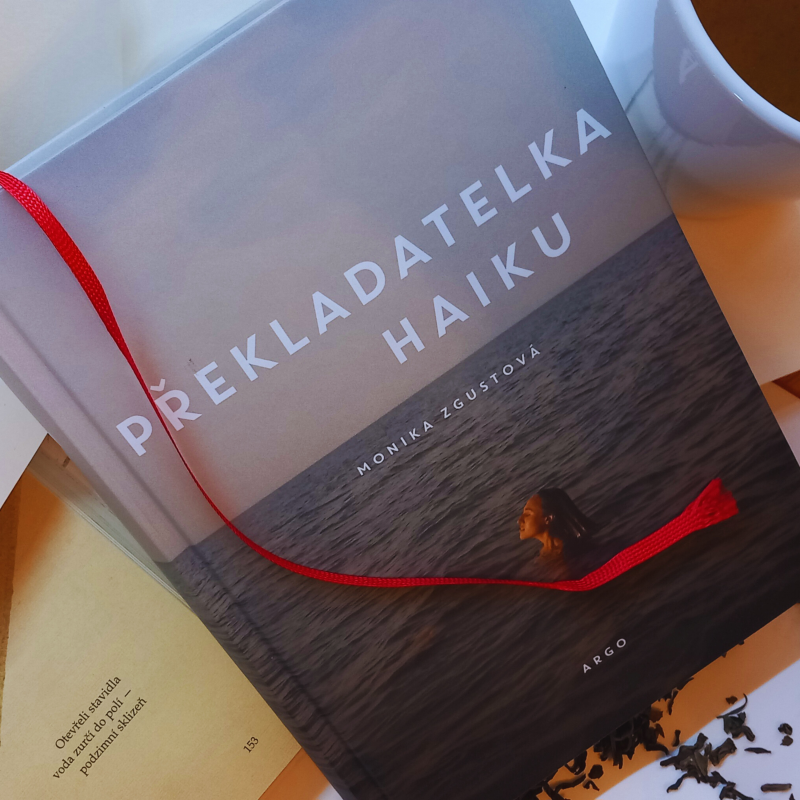 Obrázek epizody Potřebuju překlad pro Překladatelku od překladatelky. Zn. Moje chyba?