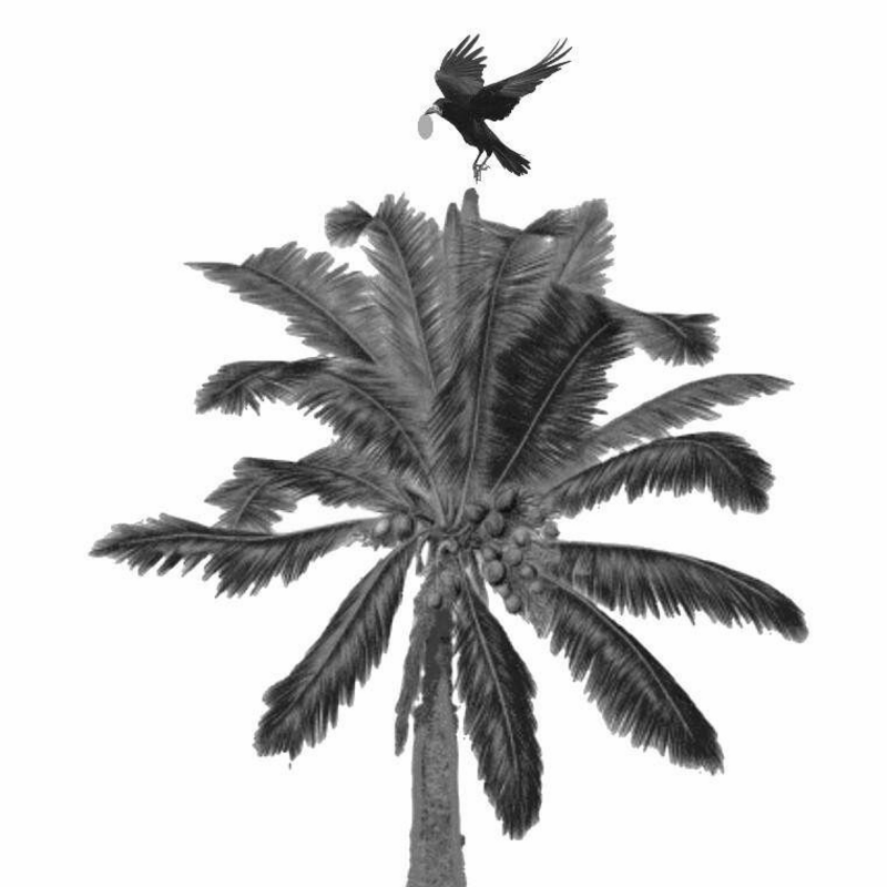 Obrázek epizody Spaseni skrze důvěru Boží (Sv. Pavla Poustevníka slovenská mše)