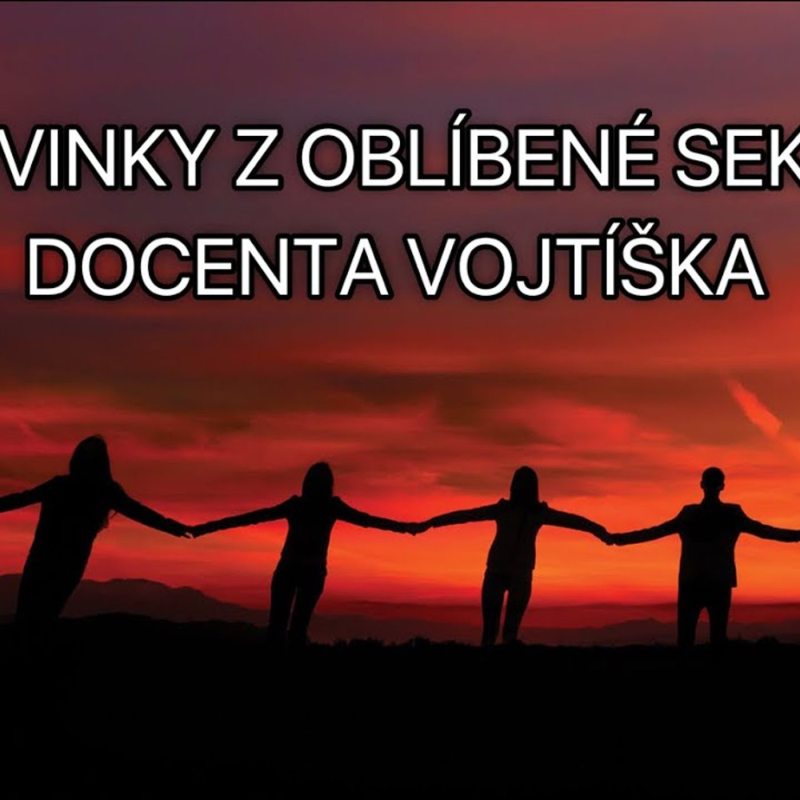 Obrázek epizody Sekta týrající děti: Dvanáct kmenů 2024