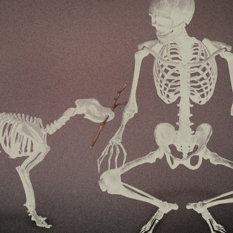 Obrázek epizody Veselý konec