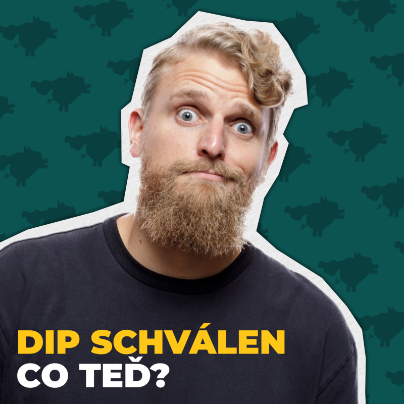 Obrázek epizody Dlouhodobý investiční produkt schválen! Co od DIPu čekat?