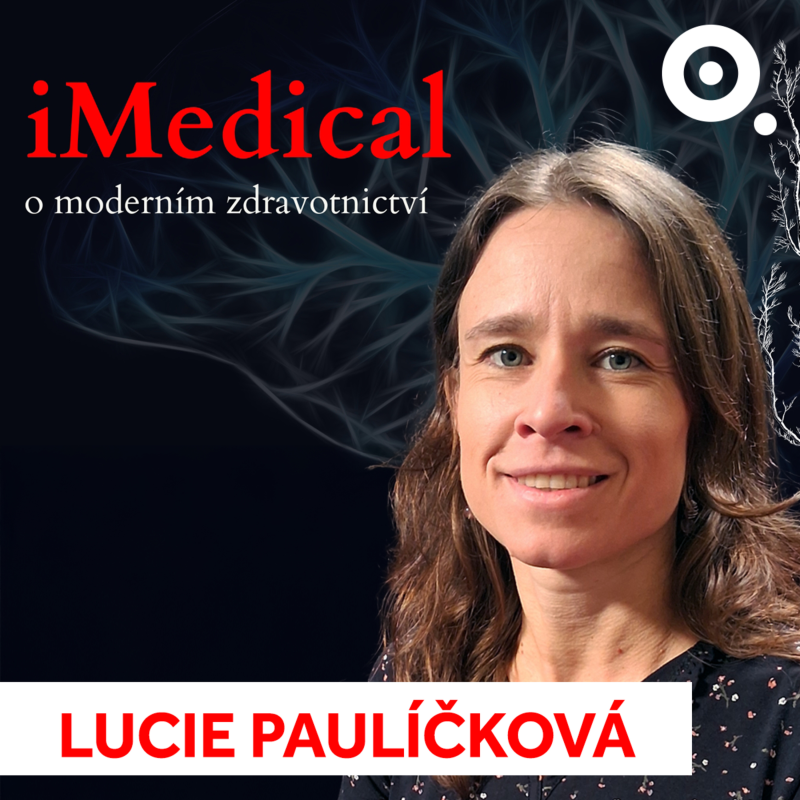 Obrázek epizody Jaké jsou problémy práce z domova? Psychické potíže i technologické překážky