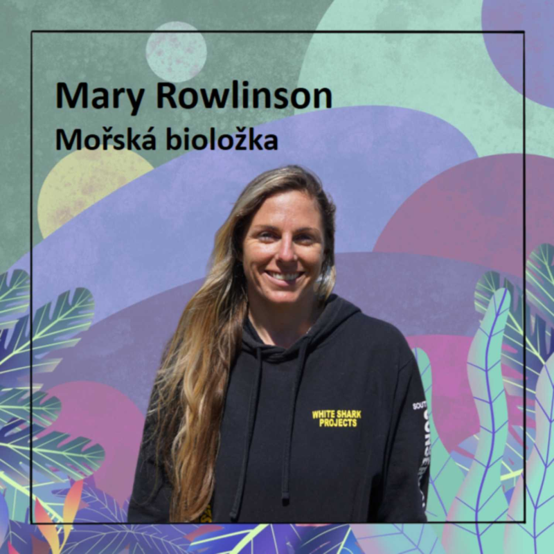 Obrázek epizody From Jaws to Love: A Marine Biologist's Bond with Sharks and Cage Diving's Role