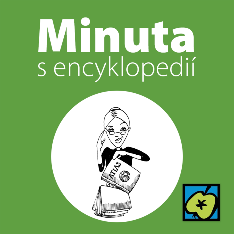 Obrázek epizody Knižní vazba