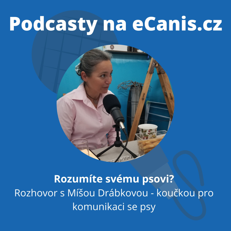 Obrázek epizody Rozumíte svému psovi?