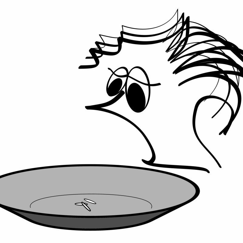 Obrázek epizody Úlet #5 Okay, middle way