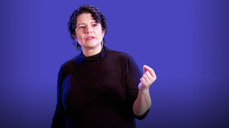 Obrázek epizody How your nature photos can help protect wild animals | Tanya Berger-Wolf