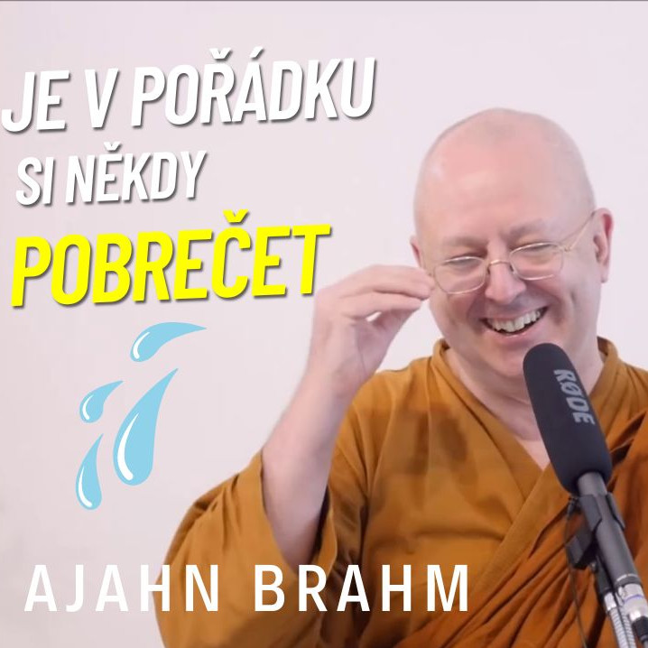 Obrázek epizody Je v pořádku si někdy pobrečet | Ajahn Brahm | 5.11.2021