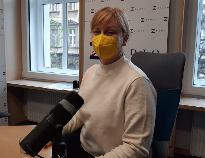 Anna Shavit: I politologové a političtí marketéři jsou lidé a také se jich dotýká krize. Vláda měla připravit přes léto nějakou smysluplnou kampaň na očkování