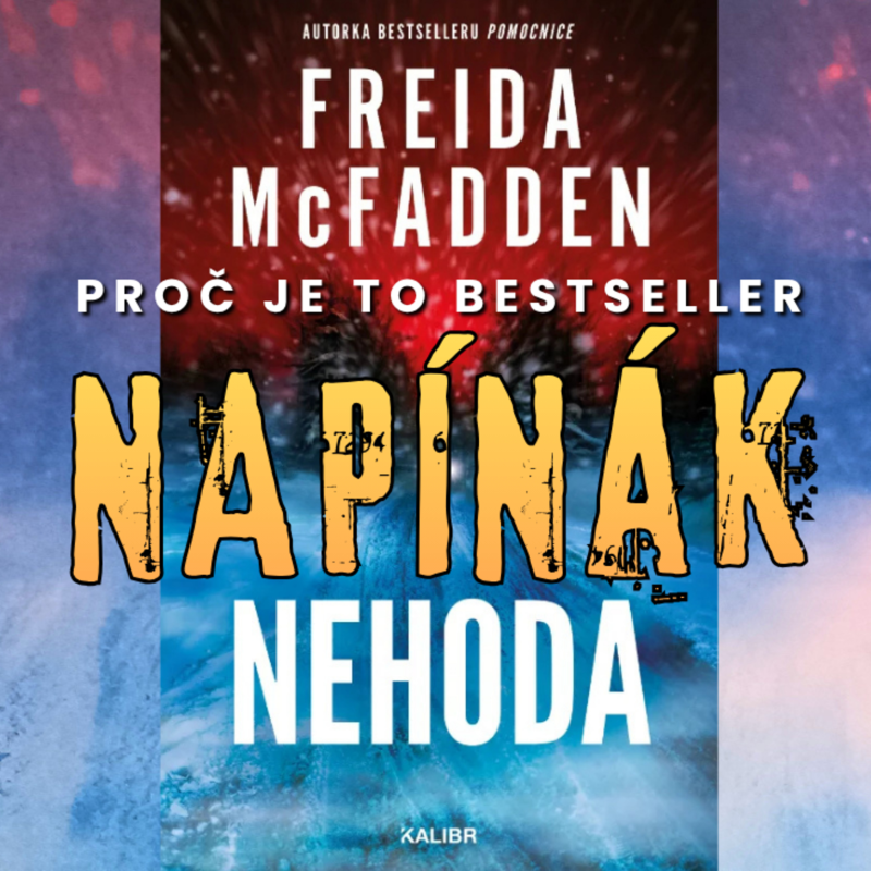 Obrázek epizody Napínák 1: Nehoda (The Crash). Freida McFadden ve sněhové bouři