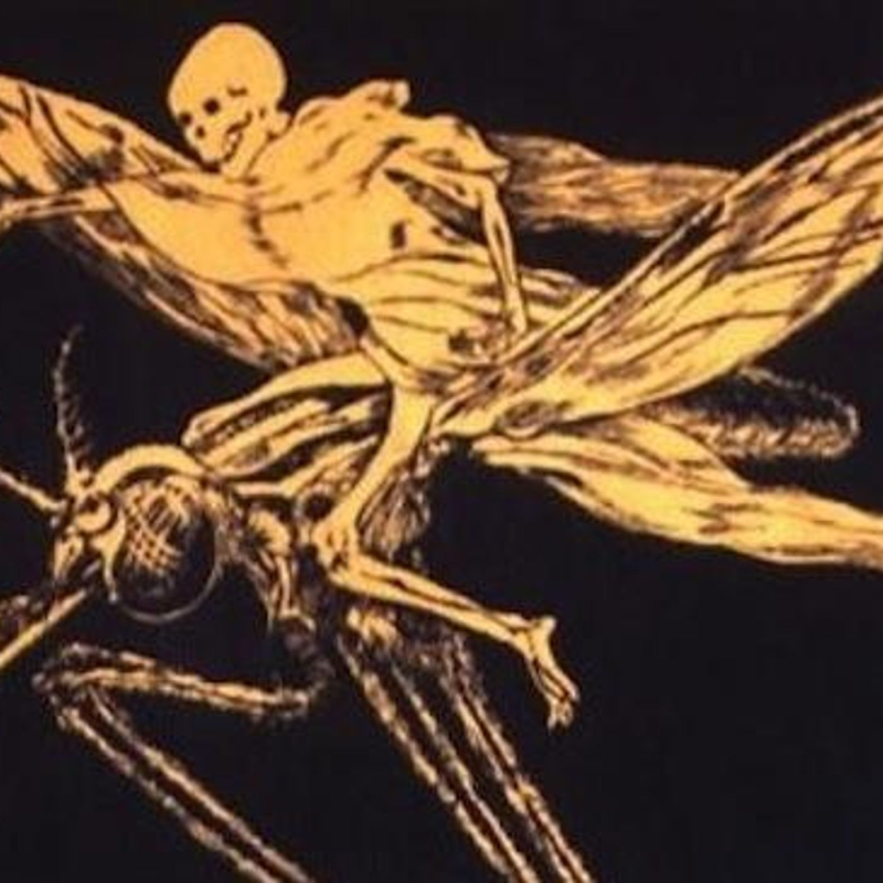 Obrázek epizody KILL 'EM ALL