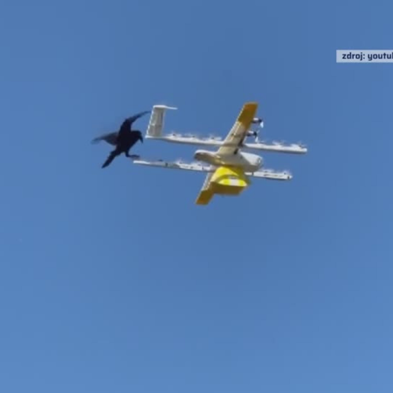 Obrázek epizody Havrani útočí na drony