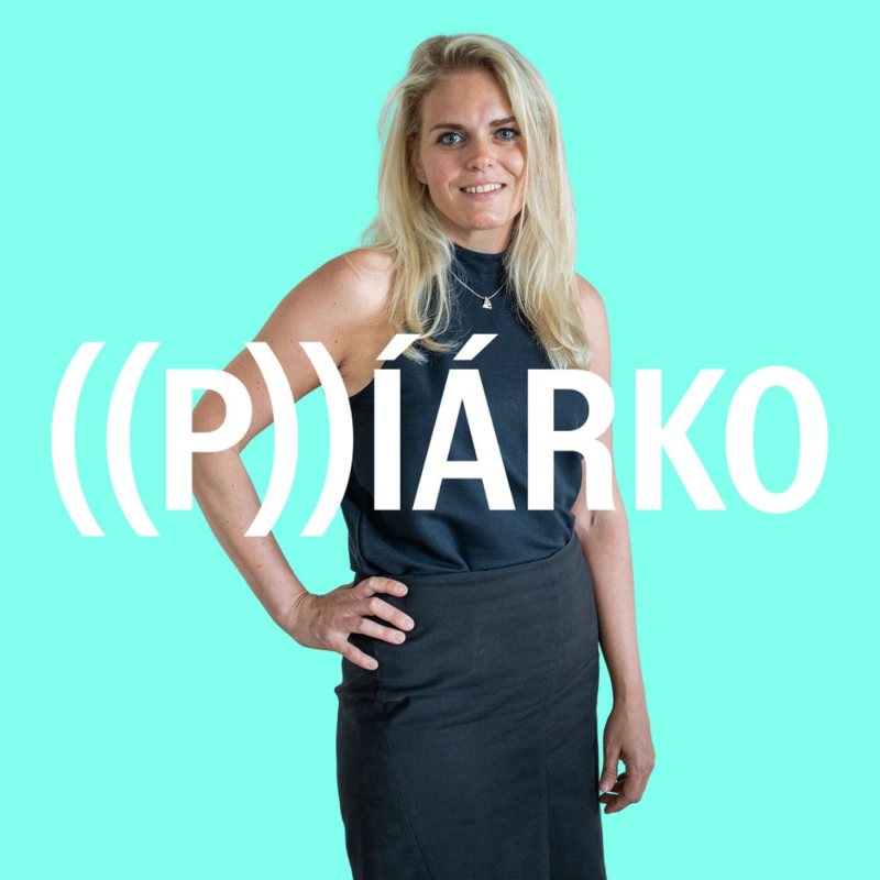 Obrázek epizody #46 Magdalena Horánska z Newton Media o možnostech měření PR