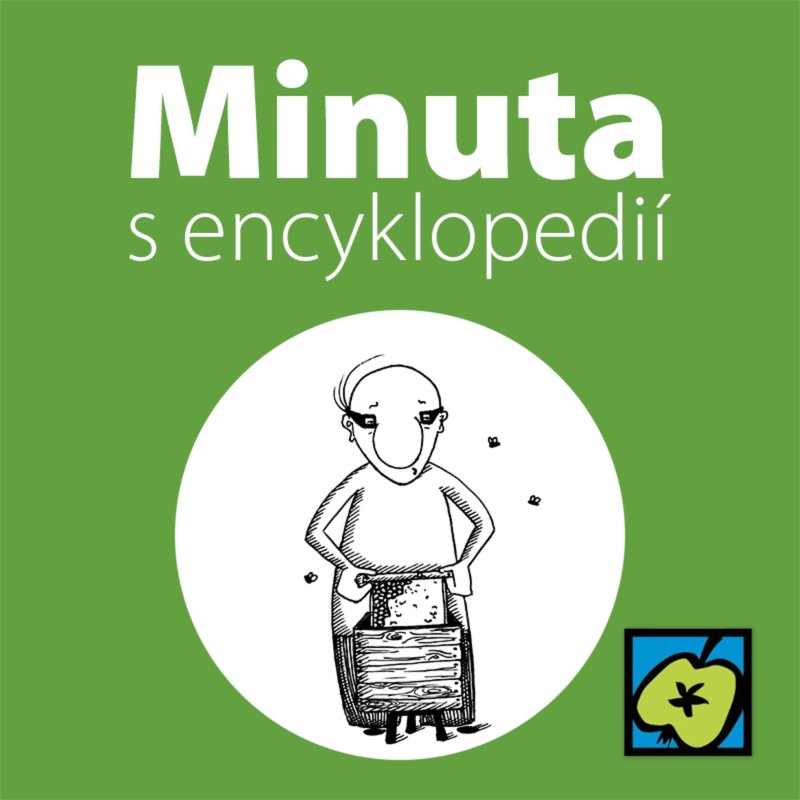 Obrázek epizody Propolis