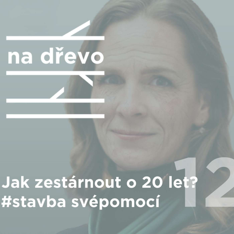 Obrázek epizody JAK ZESTÁRNOUT O 20 LET? #stavba svépomocí #12