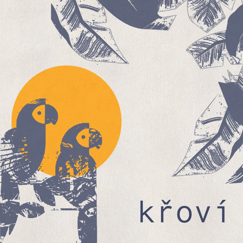 Obrázek epizody Ochrana pralesa v Kongu a nový dokument Prales zítřka - Tomáš Junek