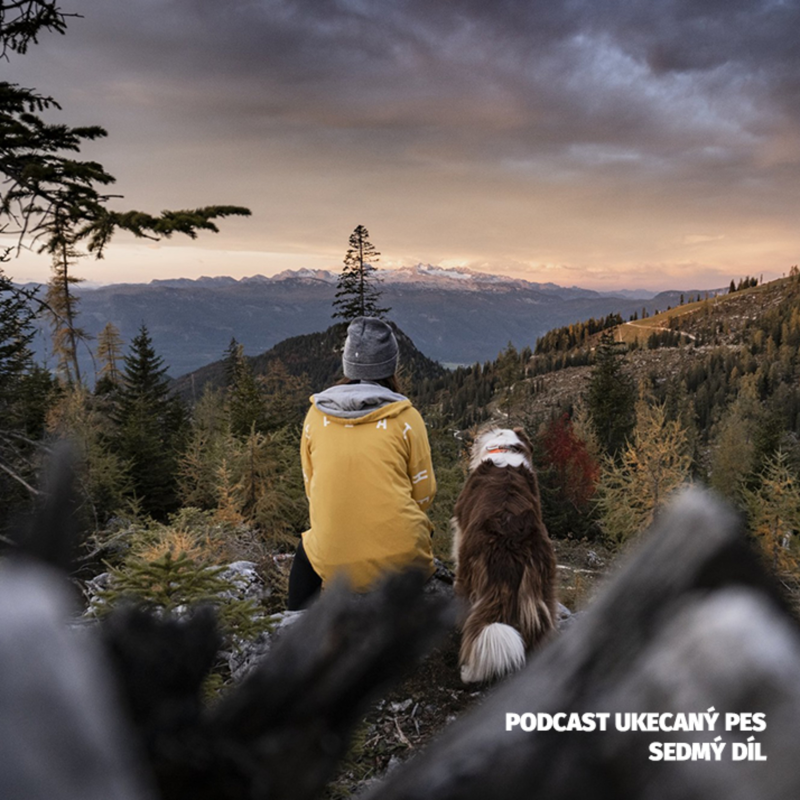 Obrázek epizody Zakladatelka Lesem se psem Petra Vysušilová o výletování s hafanem