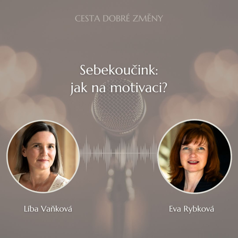 Obrázek epizody Sebekoučink - Jak na motivaci? - Eva Rybková a Líba Vaňková