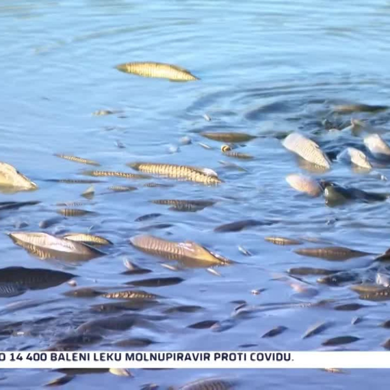 Obrázek epizody Krimi zprávy 17.12.2021