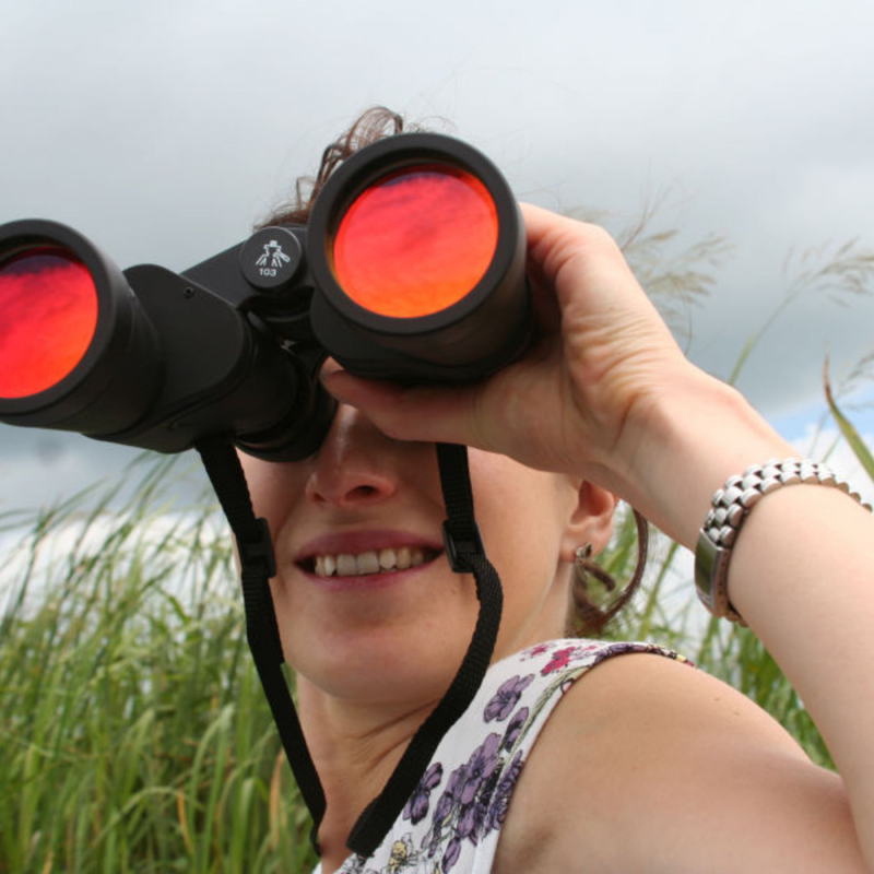 Obrázek epizody Feuersteinovo instrumentální obohacování?