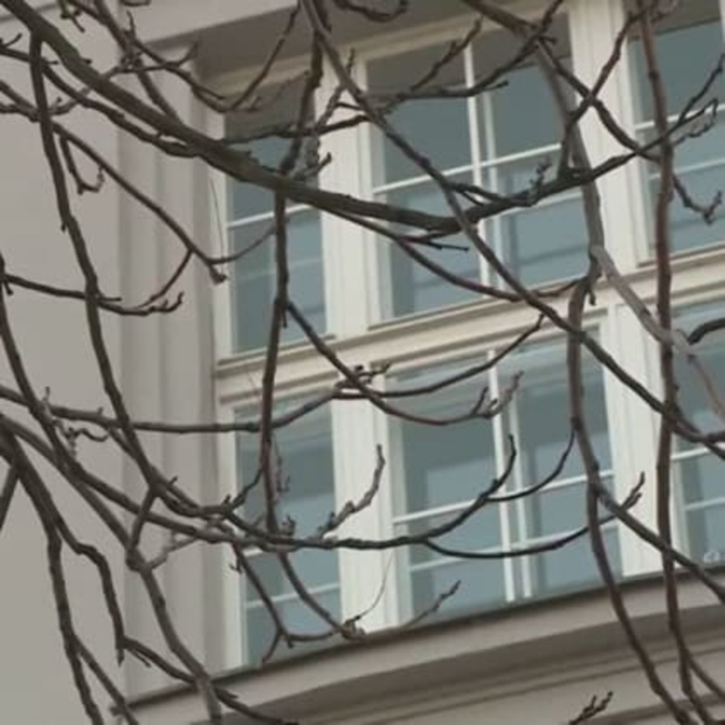 Obrázek epizody Distanční výuka v ohrožení