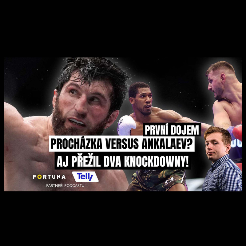 Obrázek epizody Joshua a Fury míří k duelu o Británii. Ankalaevův perfektní výkon. Utká se s Procházkou?|První dojem