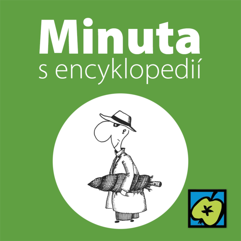 Obrázek epizody Vánoční stromek