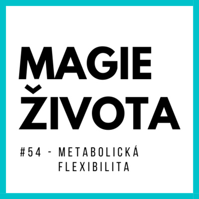 Obrázek epizody #52 - Čtyři DOHODY - POJEDNÁNÍ O ŽIVOTĚ!