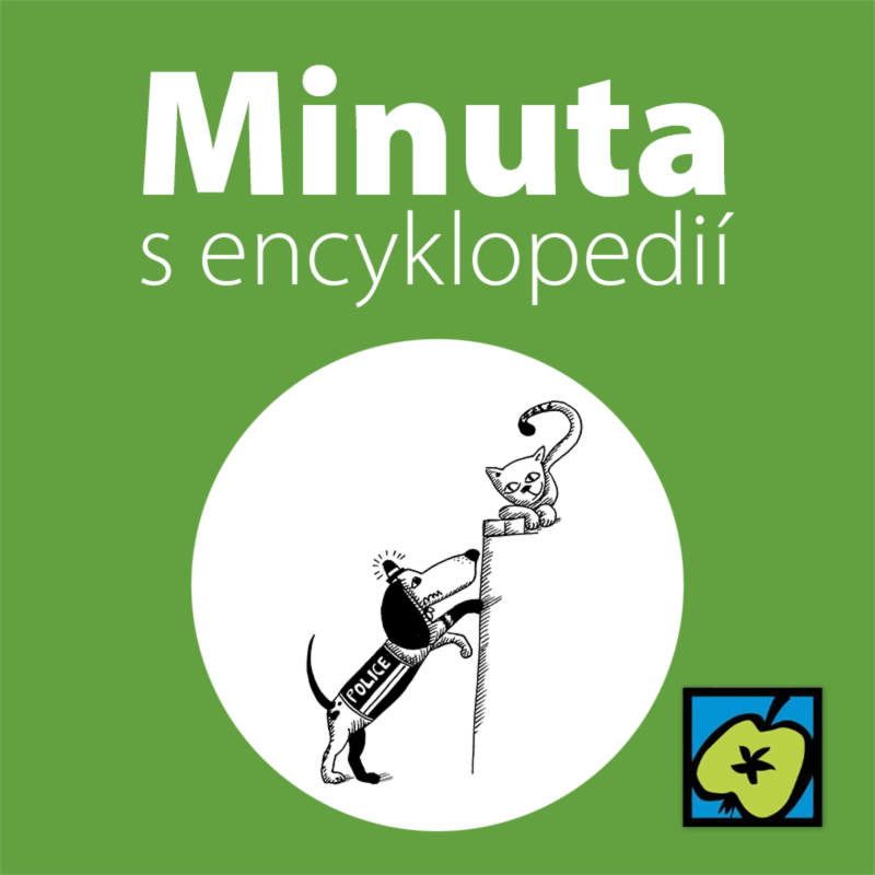 Obrázek epizody Policejní psi