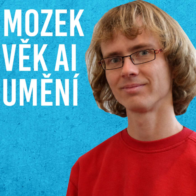 Obrázek epizody Tomáš Petrásek: Člověk, Mozek, AI, Budoucnost #138