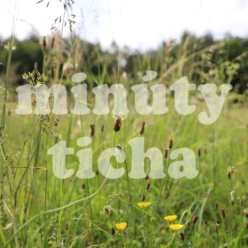 Obrázek epizody Lúka za chatami vo Veľkých Uherciach