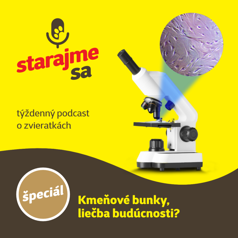 Obrázek epizody Špeciál: Kmeňové bunky - liečba budúcnosti?