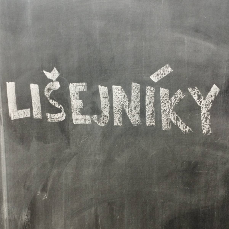 Obrázek epizody Lišejníky - do čtveřice všeho houbového