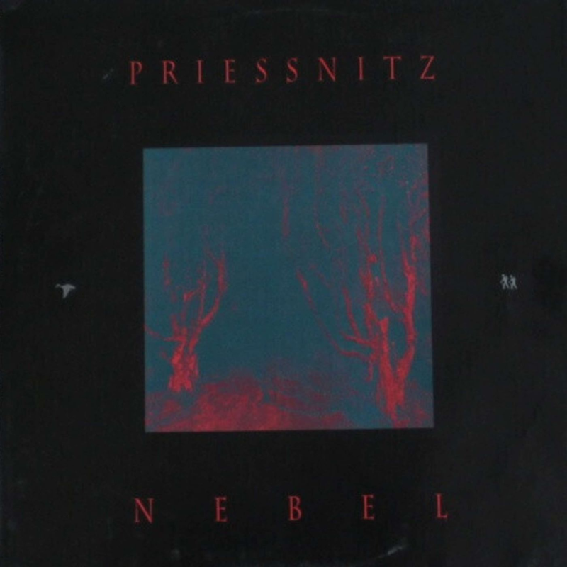 Obrázek epizody 50 nejlepších českých alb historie podle Expres FM: 18. Priessnitz – Nebel