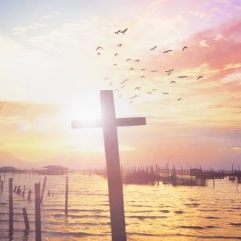 Obrázek epizody Žena vyléčená z cukrovky, sedacího nervu a vyhřezlé ploténky.