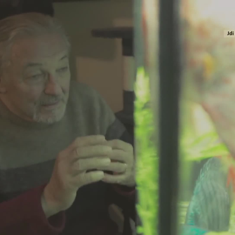 Obrázek epizody PREMIÉRA FILMU KAREL