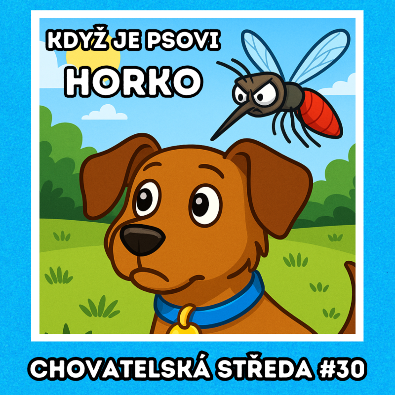 Obrázek epizody 🦟 O klíšťatech a komárech 🦟 | Chovatelská středa #30