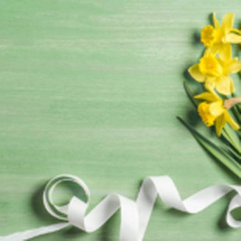 Obrázek epizody HOROSKOPY: Kozorozi, váš milostný život je jak na houpačce, nahoru a dolů