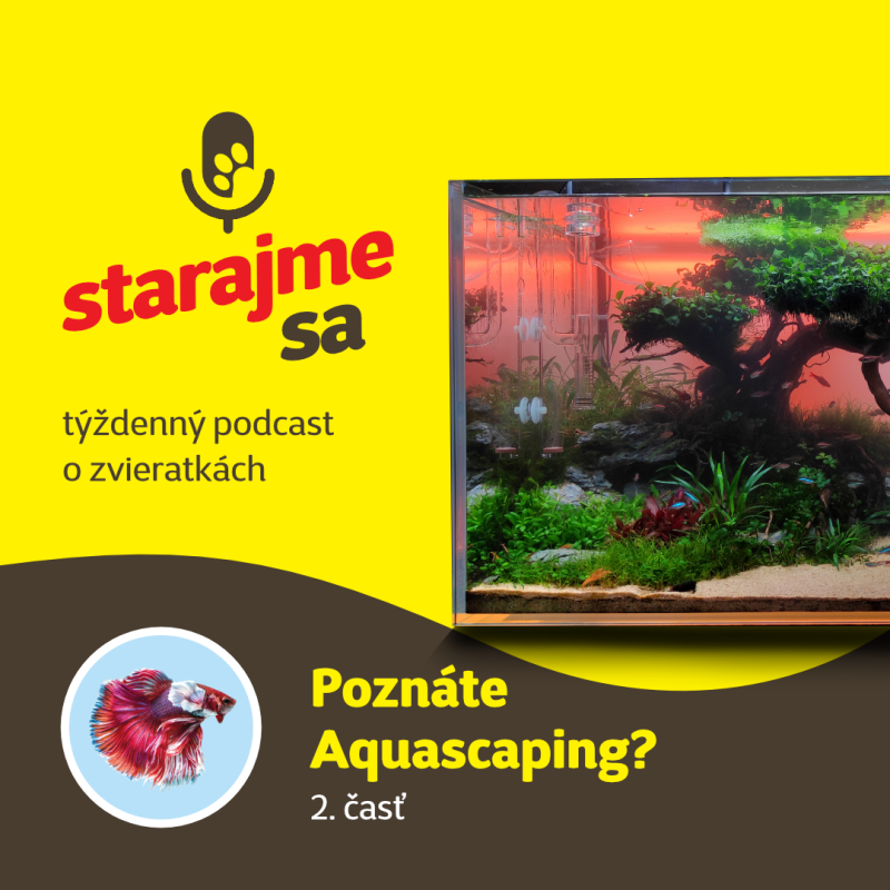 Obrázek epizody Akvaristika: Aquascaping 2. časť