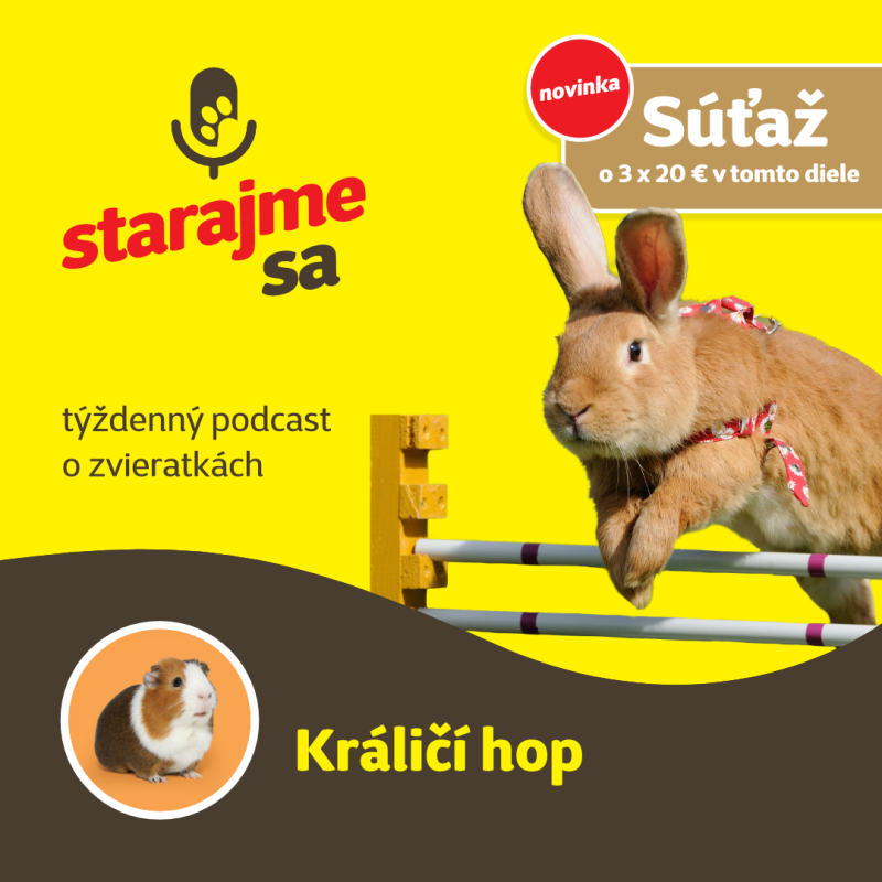 Obrázek epizody Drobné cicavce: Králičí hop