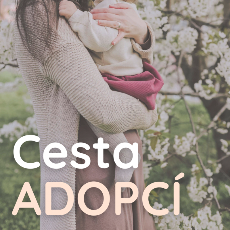 Obrázek epizody 01 | O cestě adopcí s Anetou