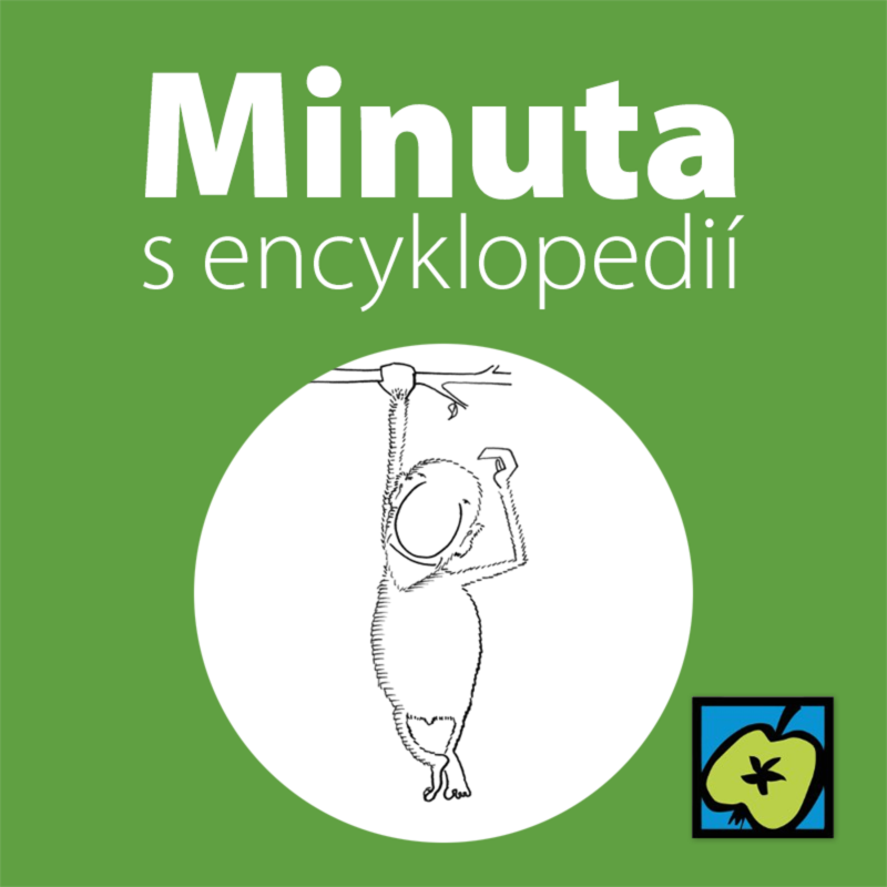 Obrázek epizody Piltdownský člověk