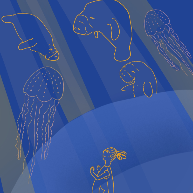 Obrázek epizody Dorotka a ztracená píseň kapustňáků 👧🪼🐙🦭🐬🎵