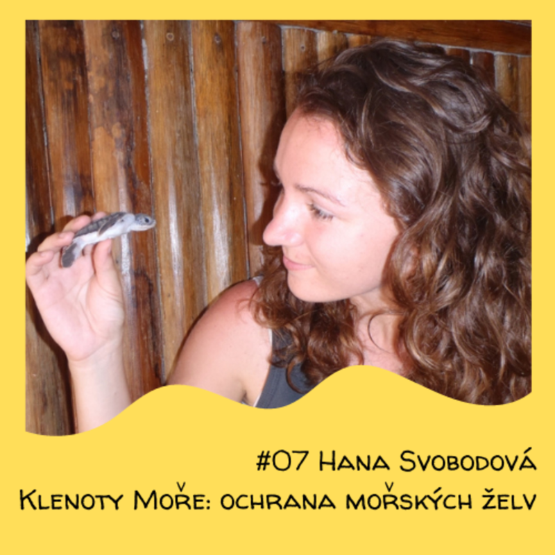 Obrázek epizody #07 Hana Svobodová - Klenoty moře: ochrana mořských želv