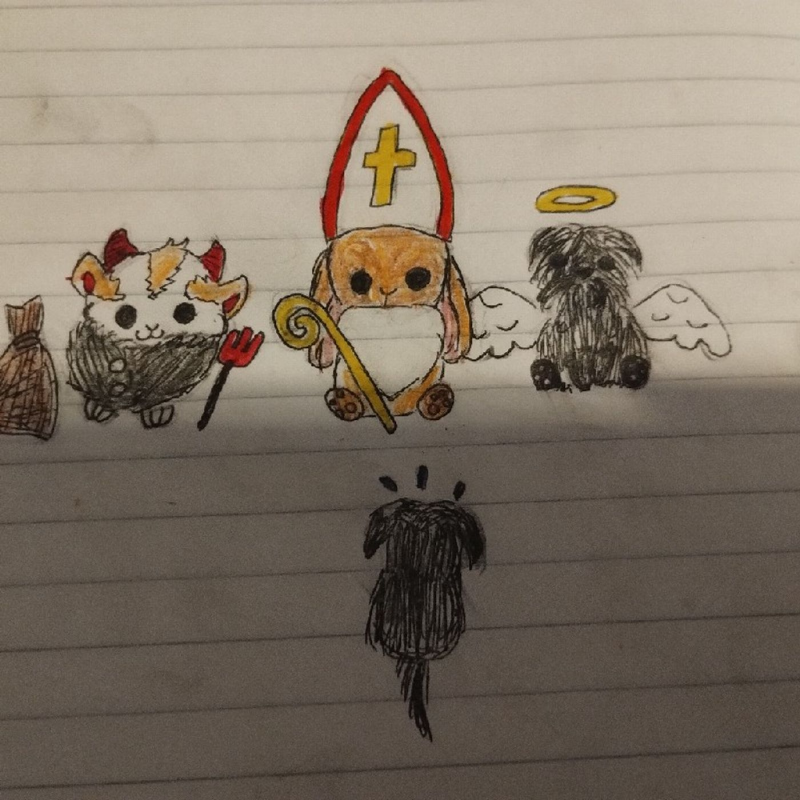 Obrázek epizody Když přišel Mikuláš- Zvířecí útulek