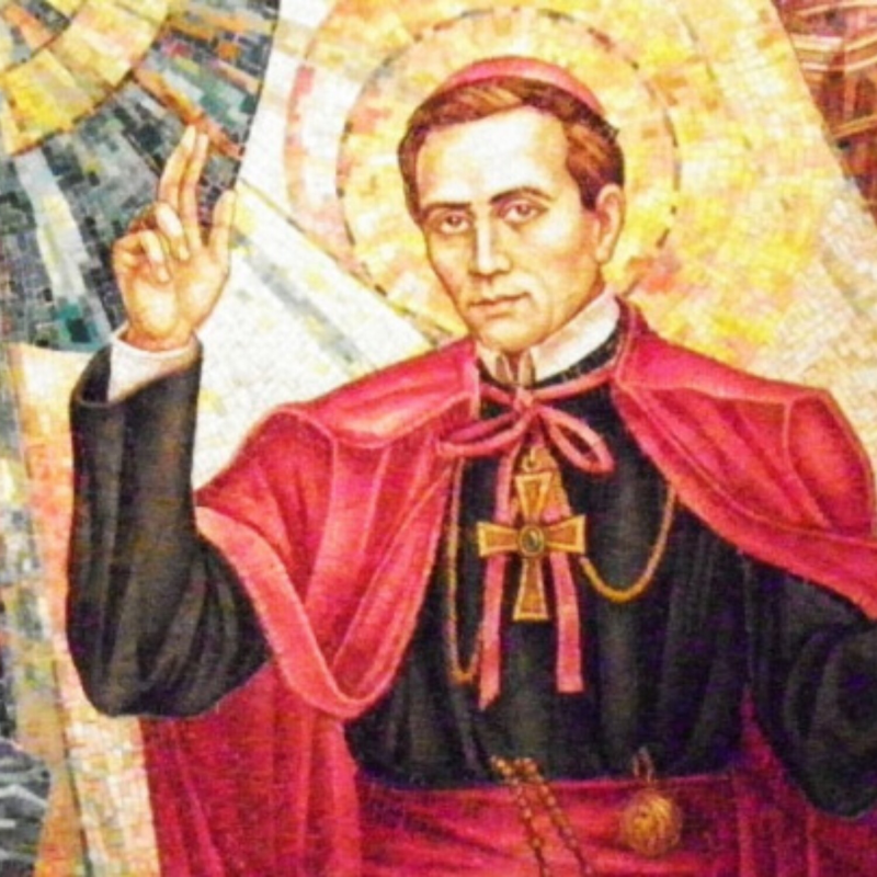 Obrázek epizody Život sv. Jana Neumanna, redemptoristy