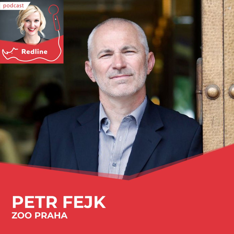 Obrázek epizody 28: Petr Fejk: Gorily jsou jako lidé, když přijde mládě, vše se změní.