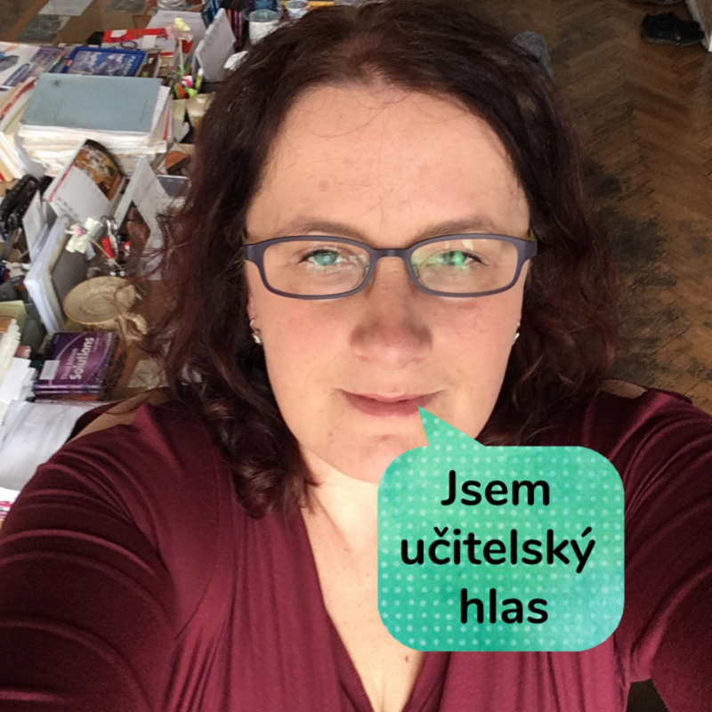 Obrázek epizody Místo bědování nad ztracenou generací se soustřeďme na zlepšení distanční výuky. Jak ji ulehčit žákům i rodičům a zaměřit se na to, aby škola dobře komunikovala s rodinou, říká předsedkyně Učitelské platformy Petra Mazancová.